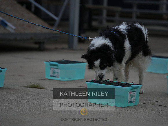 2022-KathleenRileyPhotography023