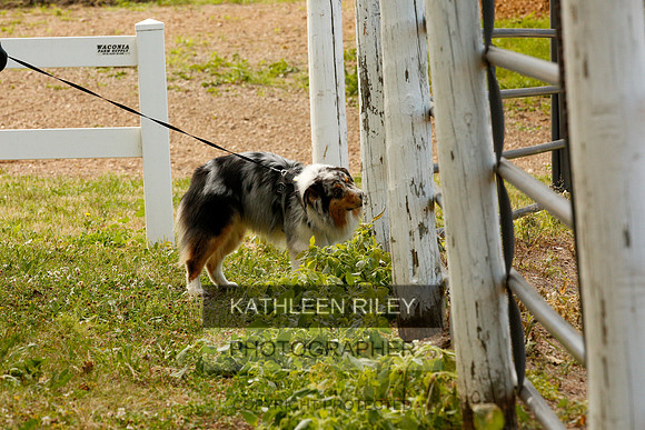2022-KathleenRileyPhotography-0011
