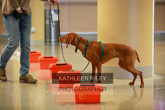2022-KathleenRileyPhotography-7744