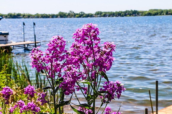 Medicine Lake  Minnesota