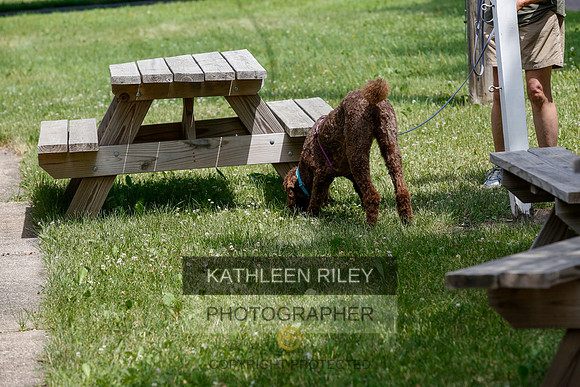 2022-KathleenRileyPhotography-9639
