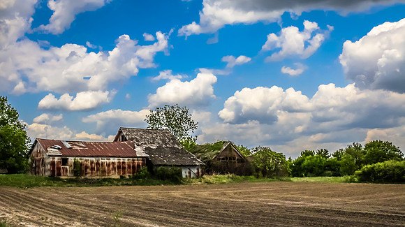 Dayton Minnesota Barn