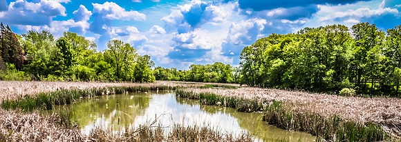 Kathleen Riley Photography Chanhassen Minnesota