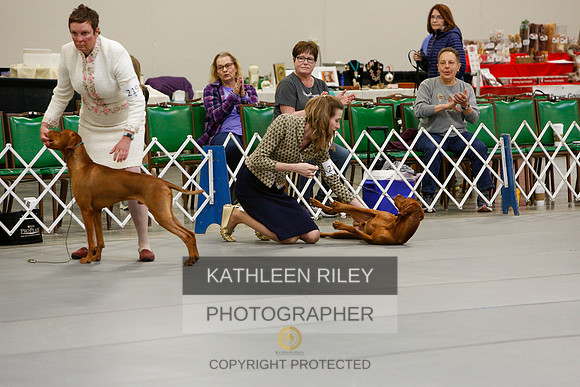 2022-KathleenRileyPhotography-5877