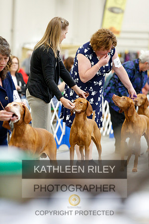 2022-KathleenRileyPhotography-1274