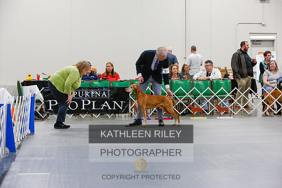 2022-KathleenRileyPhotography-1388
