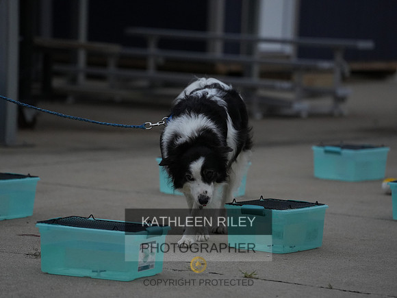 2022-KathleenRileyPhotography018