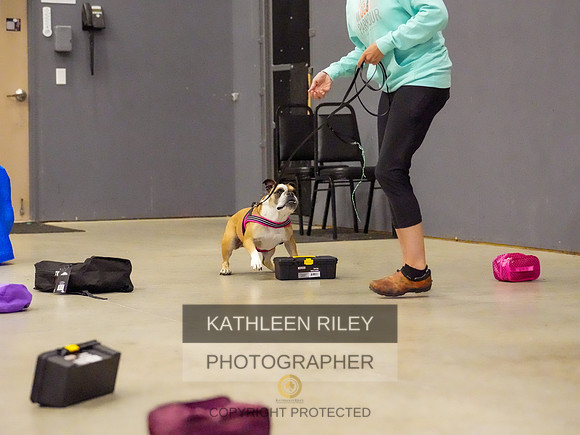 2022-KathleenRileyPhotography-08741