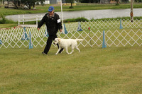 PROOFS Anoka Cambridge Thursday Dog Show 23-Jun-16