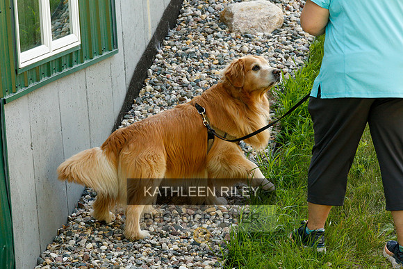 2022-KathleenRileyPhotography-0246