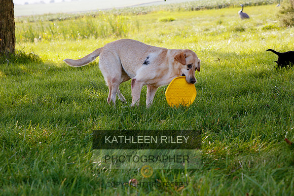 2022-KathleenRileyPhotography-5493