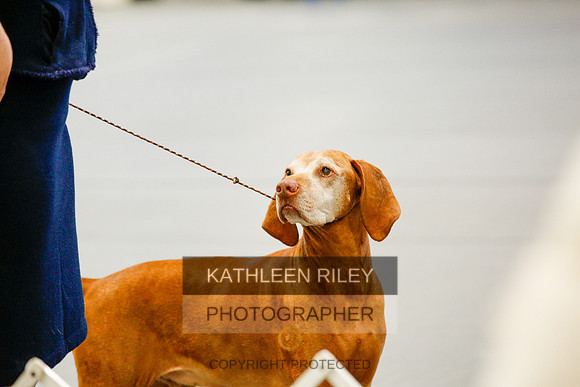 2022-KathleenRileyPhotography-1279