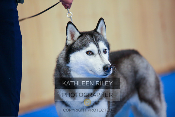 2022-KathleenRileyPhotography-6230