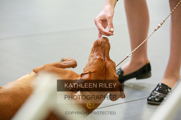 2022-KathleenRileyPhotography-8909