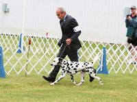 PROOFS Key City Kennel Club St Peter Minnesota 28-May-16