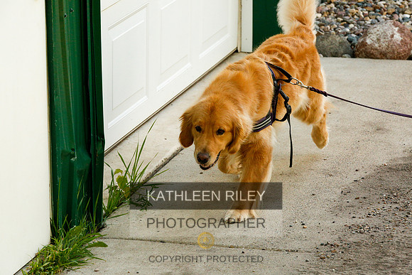 2022-KathleenRileyPhotography-0289
