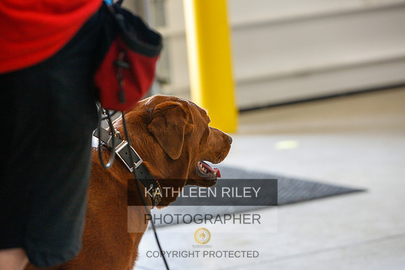 2022-KathleenRileyPhotography-4847