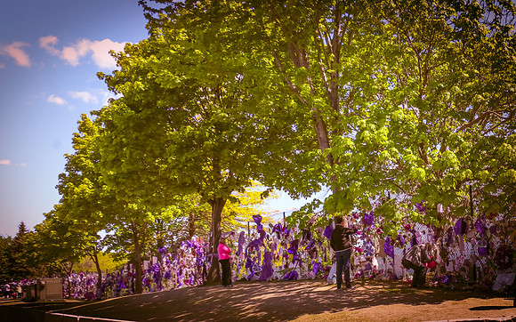 Kathleen Riley Photography Chanhassen Minnesota Paisley Park