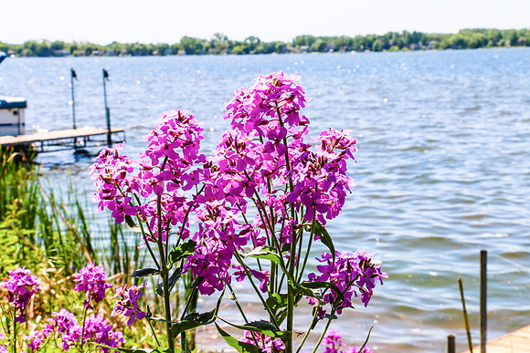 Medicine Lake  Minnesota
