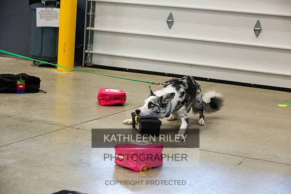 2022-KathleenRileyPhotography-4778