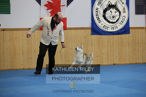 SJLT2012