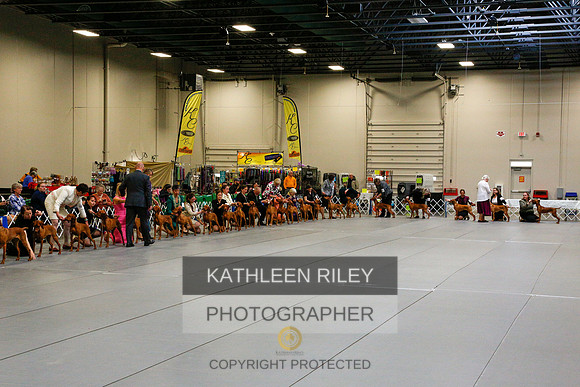 2022-KathleenRileyPhotography-6154