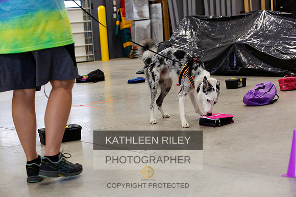 2022-KathleenRileyPhotography-7045