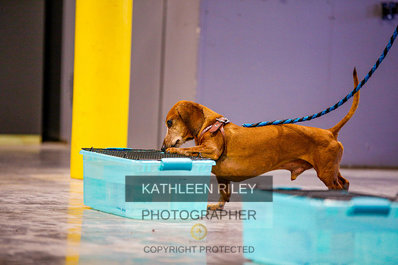 2022-KathleenRileyPhotography-6219