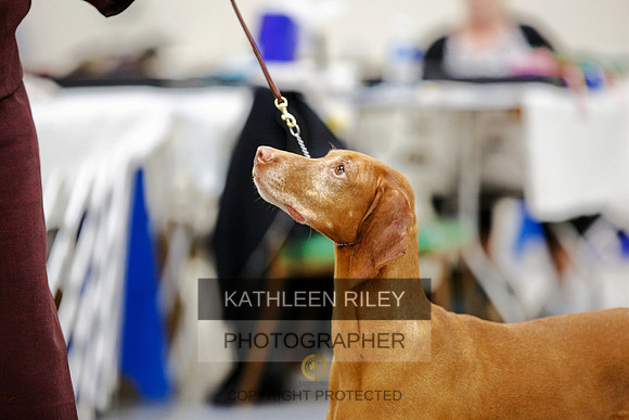 2022-KathleenRileyPhotography-2347
