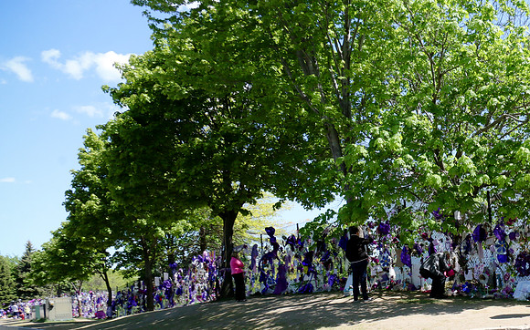 Kathleen Riley Photography Chanhassen Minnesota Paisley Park