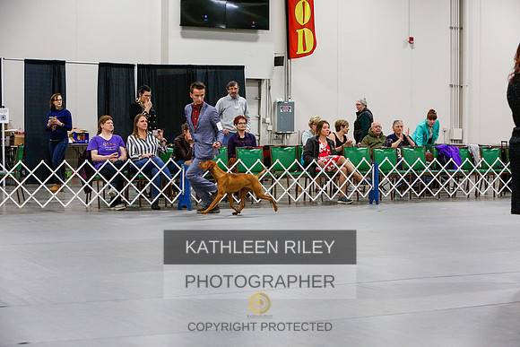 2022-KathleenRileyPhotography-6711