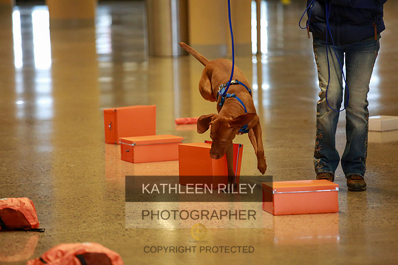 2022-KathleenRileyPhotography-7408