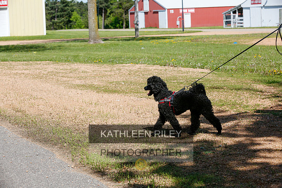2022-KathleenRileyPhotography-4104