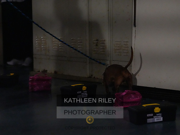 2022-KathleenRileyPhotography175