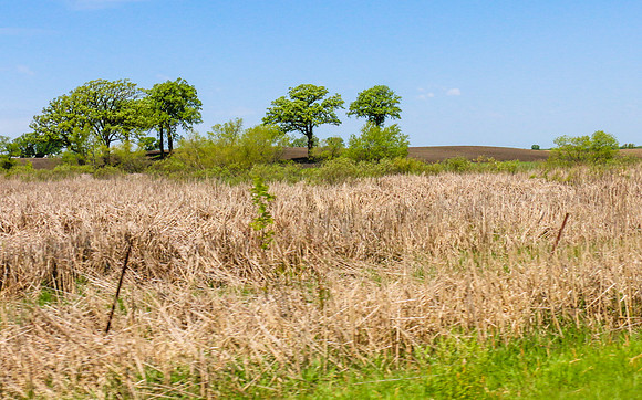 Kathleen Riley Photography Chanhassen Minnesota