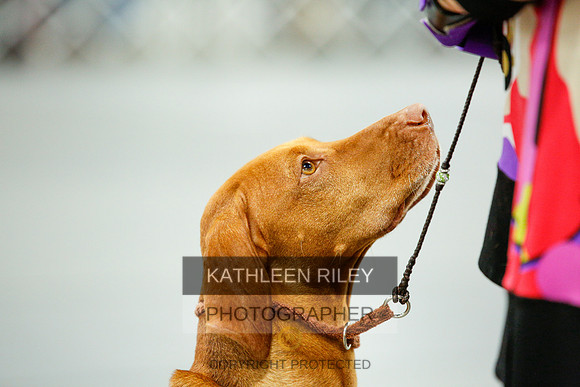 2022-KathleenRileyPhotography-0138