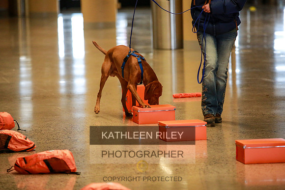 2022-KathleenRileyPhotography-7404