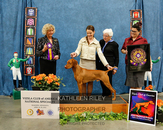 2022-KathleenRileyPhotography-7398