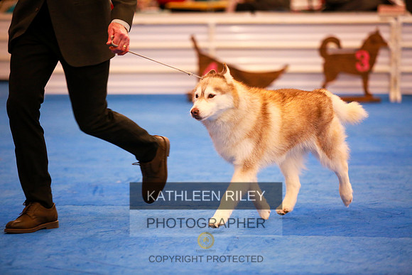 2022-KathleenRileyPhotography-5581