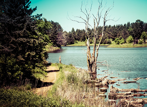 Plymouth Minnesota