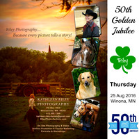 THURSDAY PROOFS Minnesota Pinto Golden Jubilee Show Winona MN  25-Aug-16