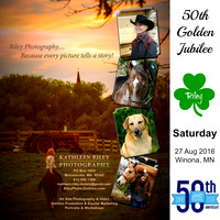 SATURDAY PROOFS Minnesota Pinto Golden Jubilee Show Winona MN  27-Aug-16