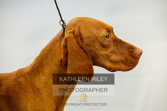 2022-KathleenRileyPhotography-9828