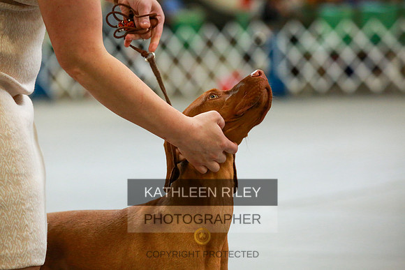 2022-KathleenRileyPhotography-8880