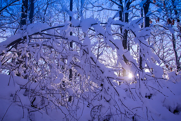 Minnesota Winter
