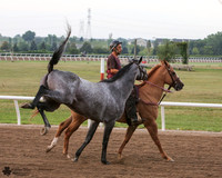 PROOFS Canterbury Park Morning 10-Aug-16