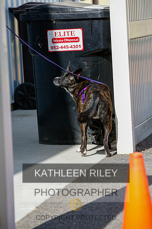 2022-KathleenRileyPhotography-3864