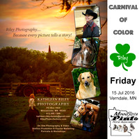 2016 PROOFS Verndale Minnesota Pinto Horse Carnival of Color - Verndale MN 16-17-Jul-2016