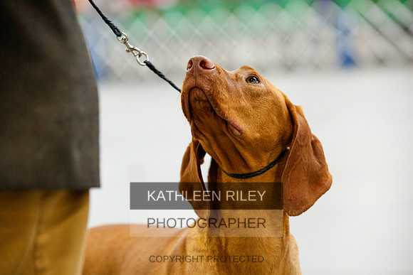 2022-KathleenRileyPhotography-9433