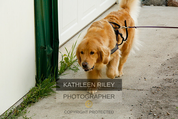 2022-KathleenRileyPhotography-0290